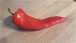 Red pointed pepper
